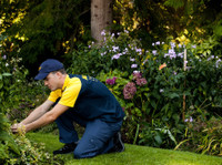Bur-han Garden and Lawn Care (3) - Haus- und Gartendienstleistungen