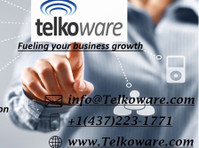 Telkoware (1) - ویب ڈزائیننگ