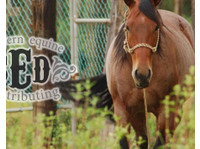 Southern Equine Distributing (3) - Услуги за миленичиња