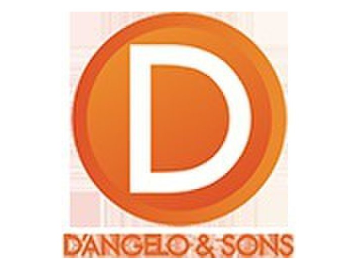 D'Angelo and Sons Roofing Ltd. - Roofers & Roofing Contractors