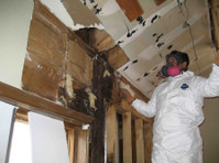 GTA MOLD REMOVAL MISSISSAUGA (1) - Construction Services