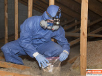 Mold Busters Ottawa (3) - Cleaners & Cleaning services