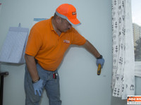Mold Busters Ottawa (4) - Cleaners & Cleaning services