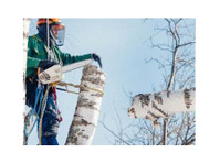 Tree Menders of Markham (1) - Home & Garden Services
