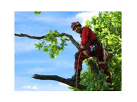 Tree Menders of Markham (2) - Home & Garden Services