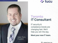 TUCU Managed IT Services Inc (1) - Poradenství