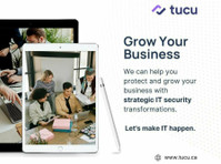 TUCU Managed IT Services Inc (2) - Konsultācijas
