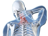 Spinewise - Top Chiropractor Clinic In Bowmanville (7) - Νοσοκομεία & Κλινικές