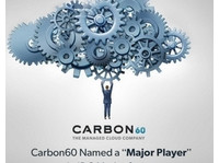 Carbon60 Networks (2) - Hosting & domains