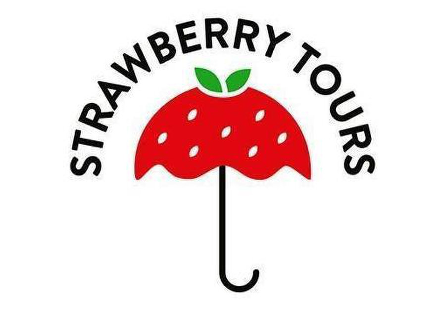 strawberry tours santiago
