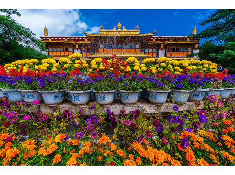 Tibet Highland Tours - Agentii de Turism