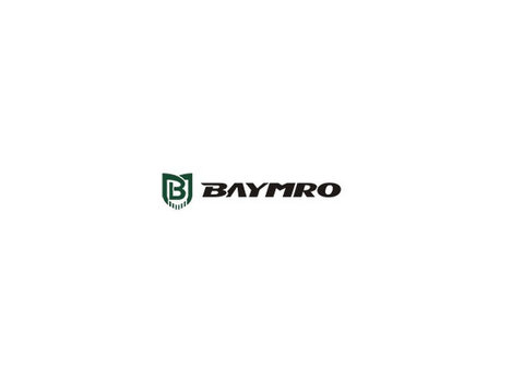 Baymro Technology - Company formation
