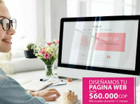 Camilo posada, Desarrollo de paginas web (1) - Advertising Agencies