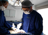 Cirujano Plástico Bogotá | Doctor Guevara (2) - Cirugía plástica y estética