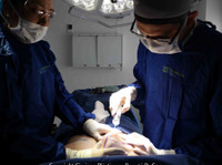 Cirujano Plástico Bogotá | Doctor Guevara (3) - Cirugía plástica y estética