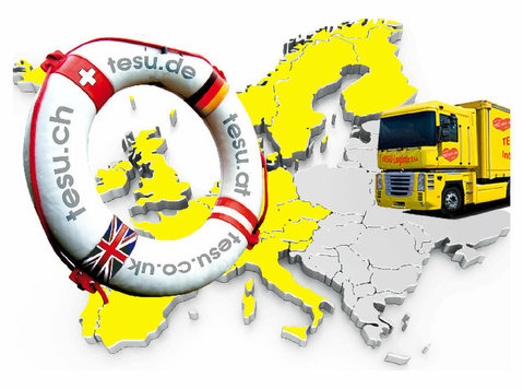 Umzugsunternehmen Tesu Schweiz Zürich nach Irland Uk England - Mutări & Transport