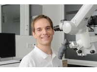 Allgöwer Zahnmedizin (4) - Stomatologi