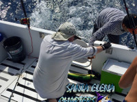 Santa Elena Fishing Charters (7) - Účetní pro podnikatele