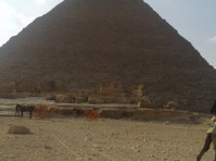 Live the history of Egypt (6) - Reisebüros