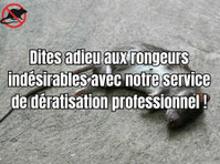 Dératisation Paris (1) - Usługi w obrębie domu i ogrodu