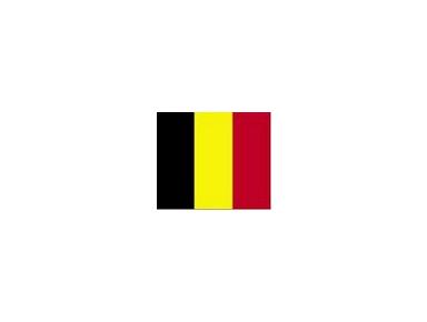 Honorary Consulate of Belgium in Dijon, France - Embassies & Consulates