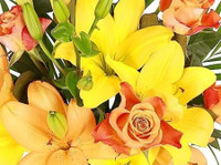 Hipper.com (3) - Presentes e Flores