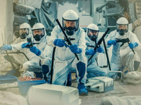 France Nuisible - Expert en Dératisation et Extermination (3) - Cleaners & Cleaning services