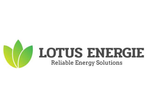 Lotus Energie - Afaceri & Networking