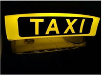 Taxi Renna Tübingen (3) - Таксиметровите компании