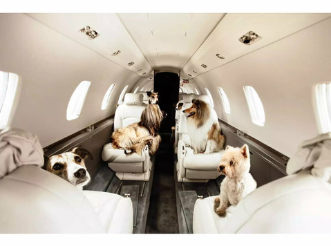 PET.AERO - Pet Elite Travel - Pet Transportation