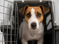 PET.AERO - Pet Elite Travel - Pet Transportation