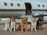 PET.AERO - Pet Elite Travel (2) - Pet Transportation