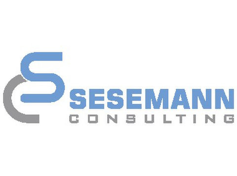 Seseman Consulting, Unternehmensberatung - Firmengründung