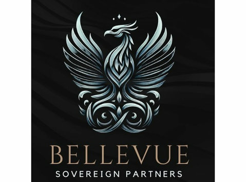 Bellevue Sovereign Partners - Konsultācijas
