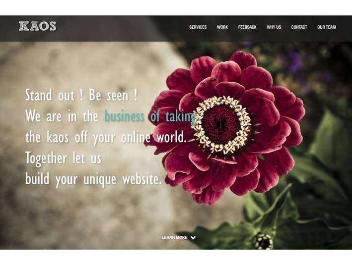 Kaos Web Development and Digital Marketing - کاروبار اور نیٹ ورکنگ