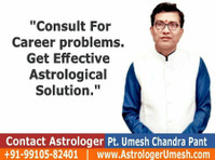 Astrologer Pt Umesh Chandra Pant (3) - Doradztwo