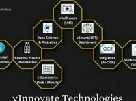 vInnovate Technologies (1) - Консультанты