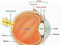 Mumbai Eye & Retina Clinic (3) - Krankenhäuser & Kliniken