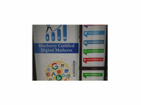 Bcdm | Blueberry Certified Digital Marketer (1) - Marketing & PR
