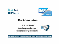 Best Apps Busines Solutions Pvt. Ltd (2) - Business & Networking