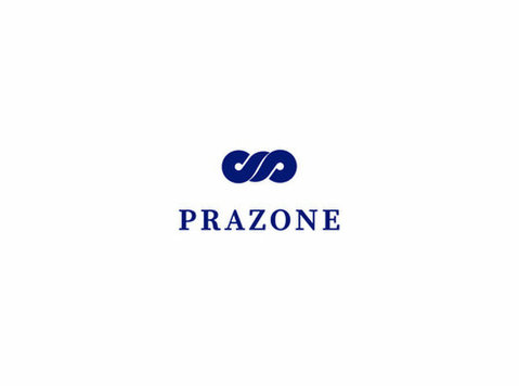 PRAZONE Web Solutions - Webdesign