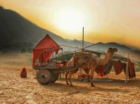 Rajasthan India Tour Driver (1) - Travel Agencies
