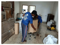 Moving Birds Packers and Movers (8) - Servicii de Relocare