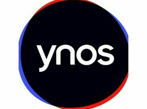 Ynos Venture Engine - Financial consultants