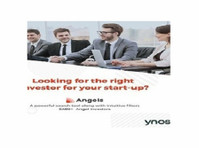 Ynos Venture Engine (2) - مالیاتی مشورہ دینے والے