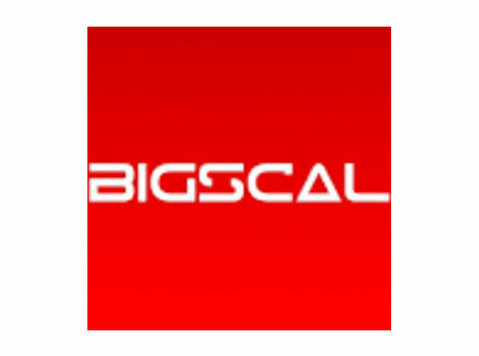 Bigscal Technologies Pvt. Ltd. - Tvorba webových stránek