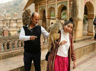 Colourful India Travel (8) - Agencias de viajes