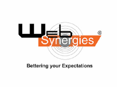 Web Synergies (India) Pvt. Ltd. - Consultancy