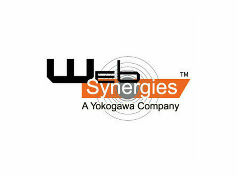 Web Synergies (India) Pvt. Ltd. - Консультанты