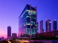 Web Synergies (India) Pvt. Ltd. (2) - Consultancy